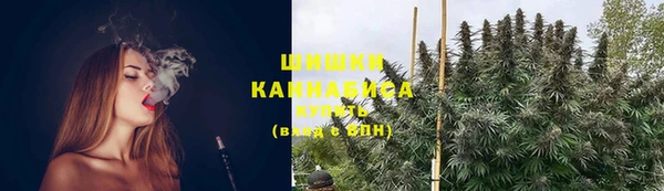 бутират Белокуриха