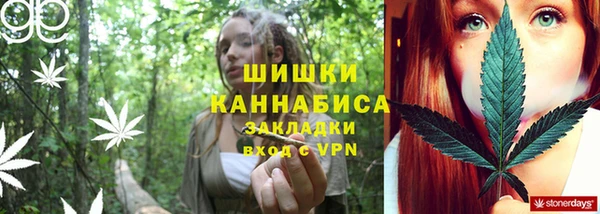 бутират Белокуриха