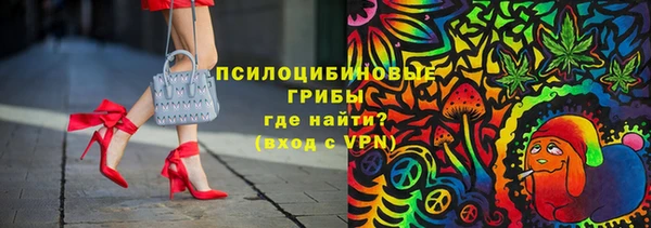 бутират Белокуриха