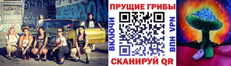 Купить закладки  Серафимович  Псилоцибиновые грибы Psilocybine cubensis 